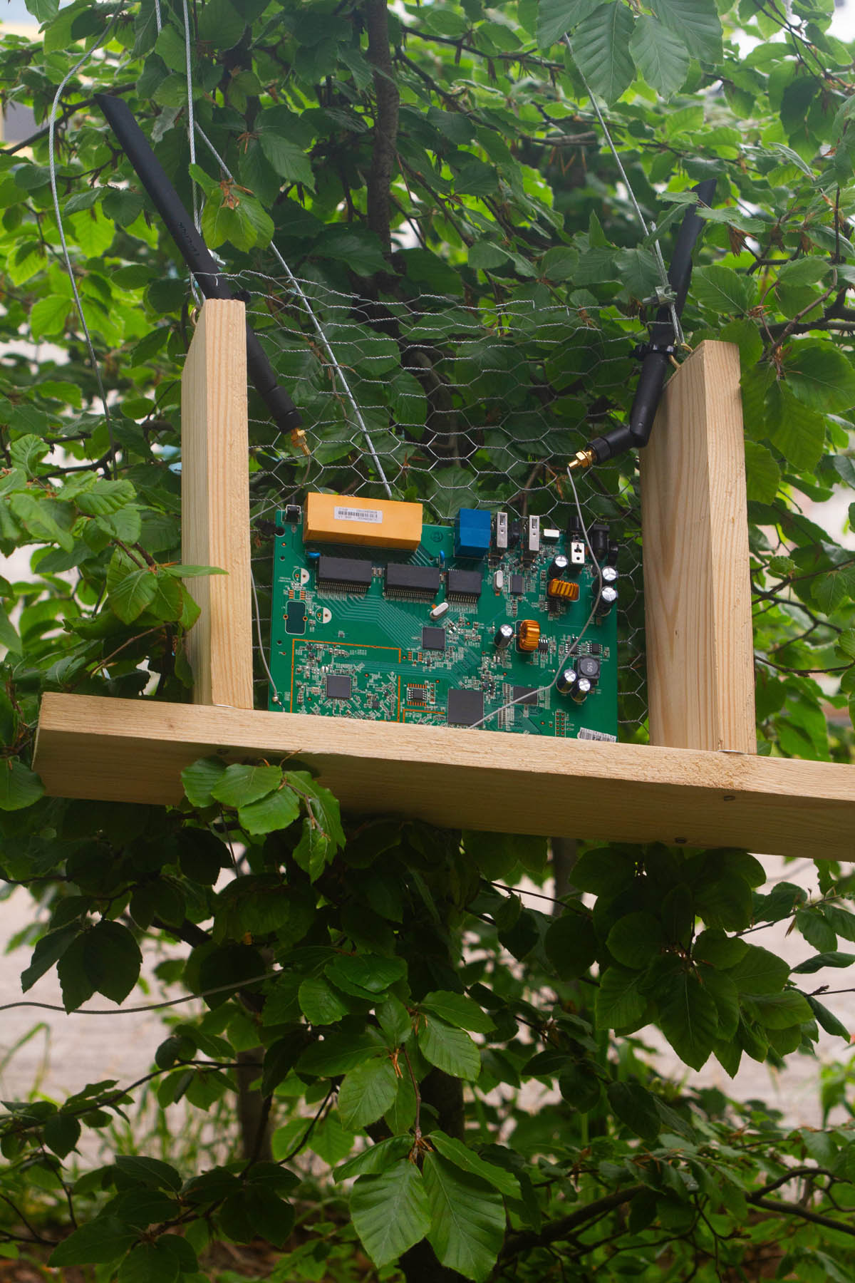 Wood Node